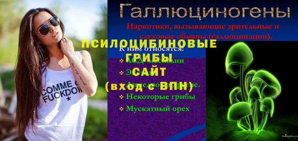 спиды Богородицк