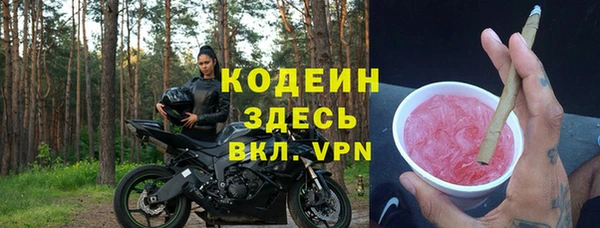 спиды Богородицк
