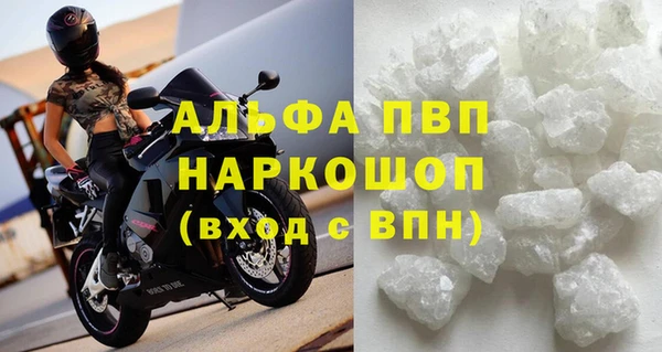 спиды Богородицк