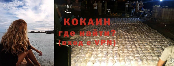 спиды Богородицк