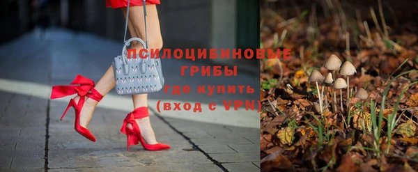apvp Богданович